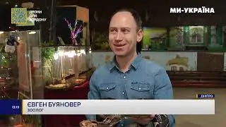Сюжет на телеканалі Ми Україна про тварин зоопарку  у Дніпрі Екзотичні переселенці з гарячих точок