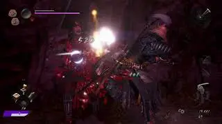 I think I may have lost | Nioh 2