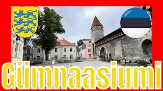 Gümnaasiumi tn  Tallinn Walking Tour - Tallinna jalgsimatk