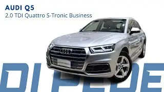 AUDI Q5 2.0 TDI Quattro S-Tronic Business - Optional e Caratteristiche