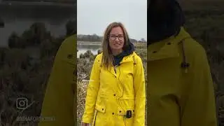 Wetlands for life and Prosperity: Restoration of the Ramsar site in the alluvium of the Morava river