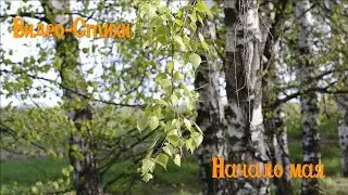 Видео-Стихи: 95 серия  
