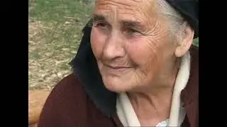 Bradova