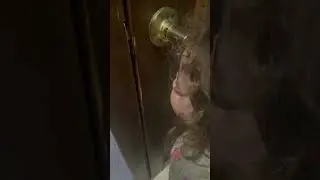 МАМА ТЫ ЧТО💩????