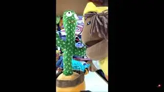 En Vivo con Francito y el Cactus Alborotado