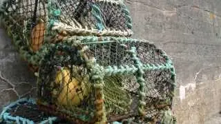 Skerray Harbour - Sutherland - Scotland
