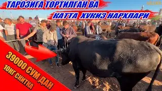 ХОРАЗМ МОЛ БОЗОРИ НАРХЛАРИ   31-МАЙ 2023