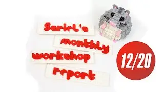 Sariel's Monthly Workshop Report 12/2020