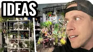 Houseplant Decor Ideas for Inspiration