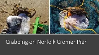 Catching Crabs on Cromer Pier in Norfolk