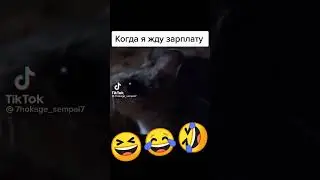 Тик Ток:Когда я жду зарплату🤣