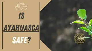 Is Ayahuasca Safe?  These are the risks to watch out for!