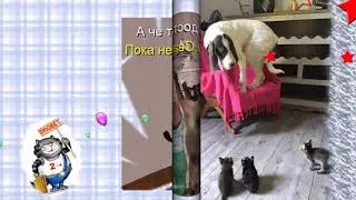 позитивчик для друзей