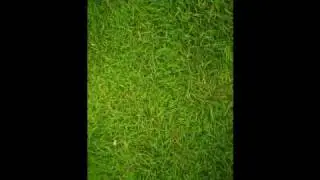 Ds-On Tape