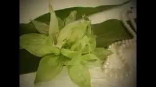 Цветы из листьев кукурузы -Flowers from corn