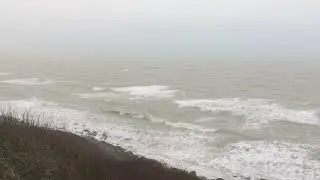 IMG 0080