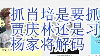 抓肖培的目的是抓贾庆林还是习近平？中纪委副书记肖培（正部级）与稻上飞。刘源为什么去首都师范大学上学？杨家将杨尚昆的派系。