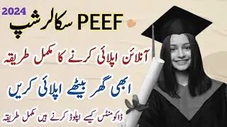 How to apply in PEEF Scholarship 2024 | Peef Scholarships 2024 Online Apply | Peef Scholarship