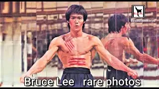Bruce Lee Legendary Rare Photos  2021 - Bruce Lee the Dragon