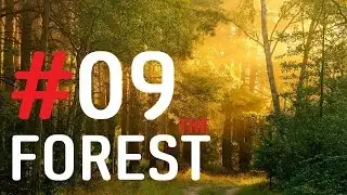 The Forest | #09 | Umzug! [BMG]