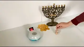 Dreidel Game with Finch