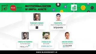 Institutionalization of Digital Assets