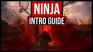 Bdo Ninja succession ~ Intro guide 2020