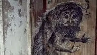 If You See This Graffiti Prepare To Die | SCP-1155 Predatory Street Art
