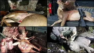My Hunting Stories