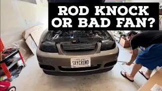 I THOUGHT I BLEW UP MY MUSTANG’S ENGINE: Listen for yourself!