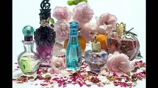 Our Knowledge Box, Section 05: Toilet, Perfumery, etc.