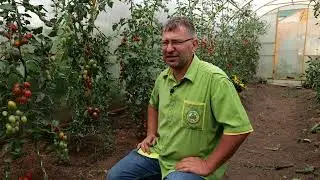 Урожай будет 100%