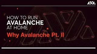 How to Run Avalanche at Home: Why Avalanche Pt. II