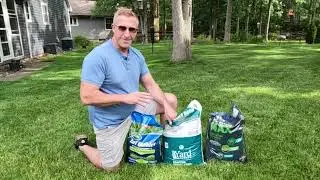 June Lawn Update!!! Part 1: // I Haven't fertilized my lawn yet. How I'm greening up my lawn fast!!!