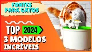Descubra os 3 Melhores Bebedouros de Gato que Vão Deixar seu Felino Super Satisfeito! 2024