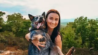 Hiking with my Australian Cattle Dog