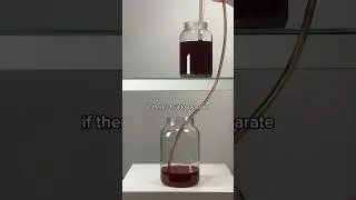 DO YOU NEED TO RACK YOUR MEAD?