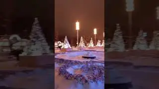 новогодняя ель)))))