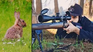 Caza de conejos con rifle 22 Magnum y Scope Cam (PARTE 7) Savage 93 | Element Helix SFP | Fenix HT32