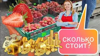 Анапа 2024 | Всё о ЦЕНАХ или Как СЭКОНОМИТЬ на ОТДЫХЕ | Экскурсии | ВИНОДЕЛЬНИ | ТОП | Не Маковозовы
