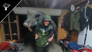 Pig Hunting NZ | Big Boar | Good Jaw