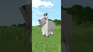 дык-дык-дык лапкой