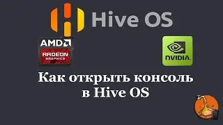 Как открыть консоль в Hive Os