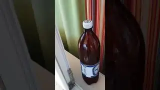 Пиво на море