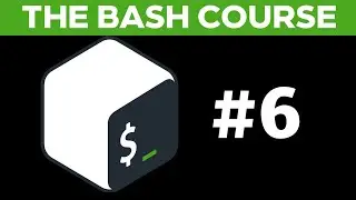 The Bash Course: Regex, Pipelining and environment variables! Lecture #6