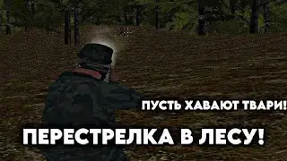 ПЕРЕСТРЕЛКА В ЛЕСУ! ХАВАЙТЕ, ТВАРИ! | Radmir RP