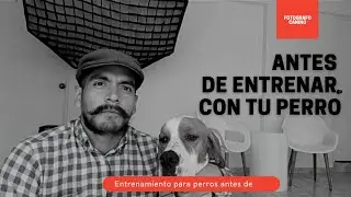 COMO HACER QUE MI PERRO