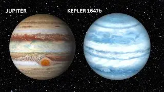 The Exoplanet with Two Suns: A Look at the Unique Conditions on Kepler-1647b and its Binary Star