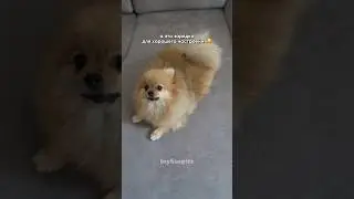 Это лучшее, что может поднять настроение!🥹 