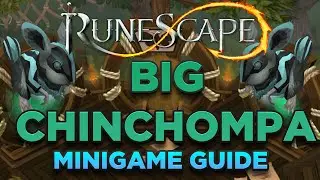 Runescape - BIG CHINCHOMPA Minigame GUIDE UPDATED 2021 - FREE HUNTER XP!